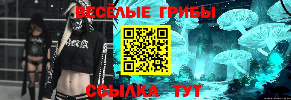 Галлюциногенные грибы MAGIC MUSHROOMS Боровичи