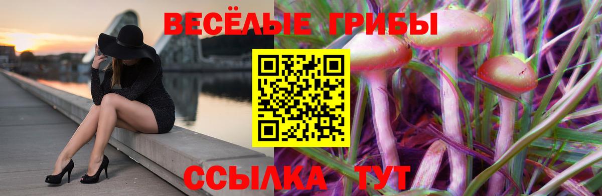 Галлюциногенные грибы мицелий  Вход с VPN  Боровичи 